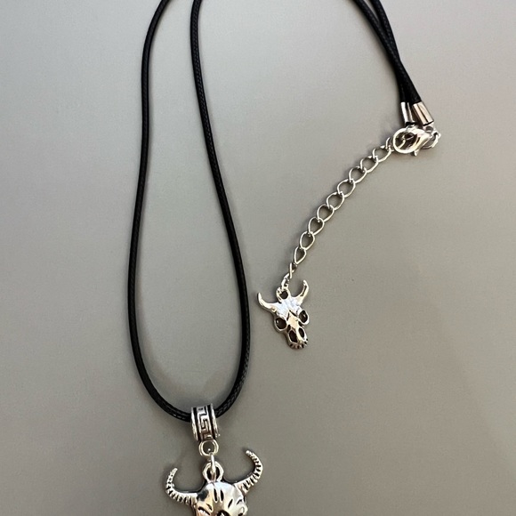 Steer Skull Spooky Necklace with a paranormal vibe - Picture 6 of 10